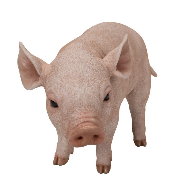 HiLine Gift Ltd. Standing Baby Pig Statue & Reviews Wayfair